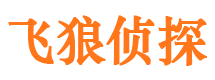 丁青寻人公司